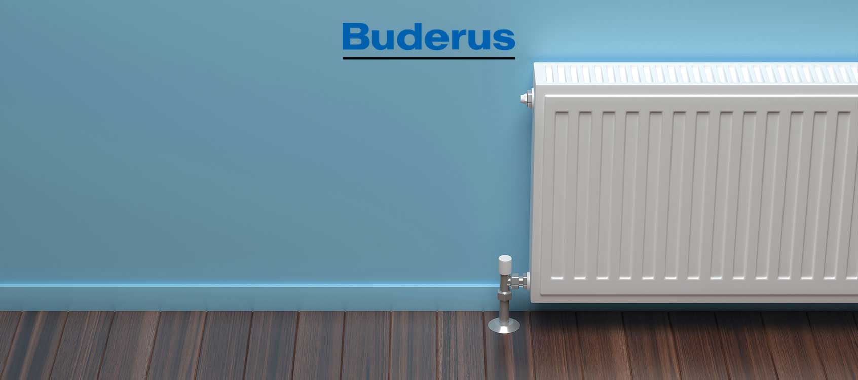 Buderus Kombi Servisi
