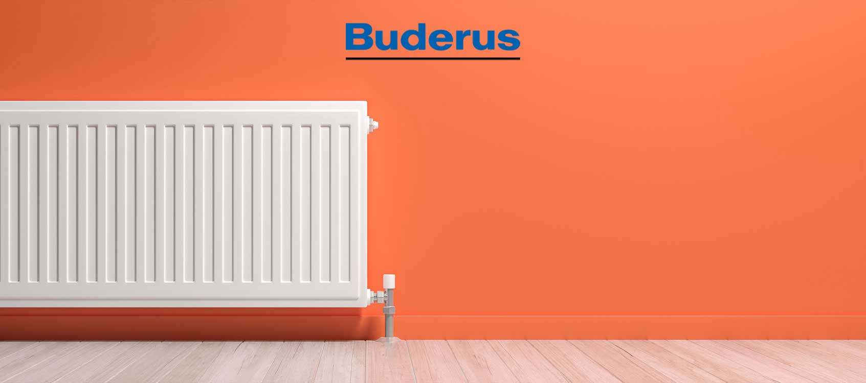 Buderus Kombi Servisi